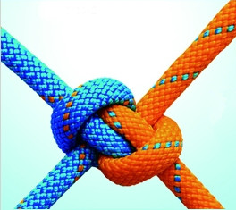 凝心聚力，建立基督的身体--写在中国基